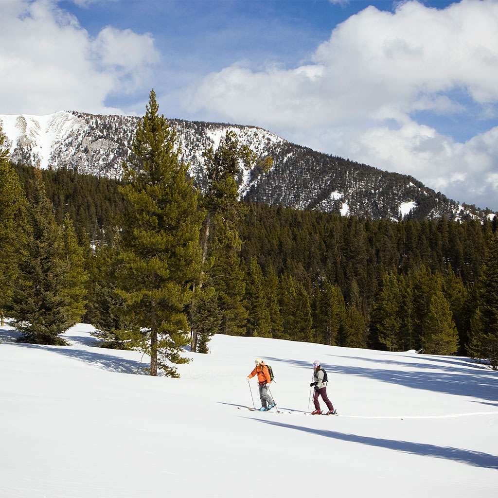 Cheap Flights to Bozeman with Sun Country